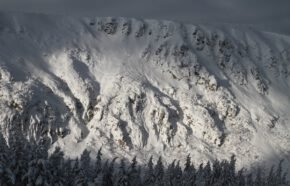 Strategia przede wszystkim