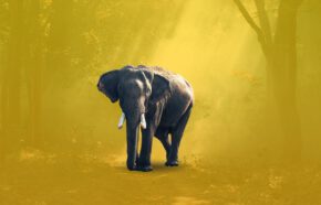 Trendy w&nbsp;stronach dla kancelarii